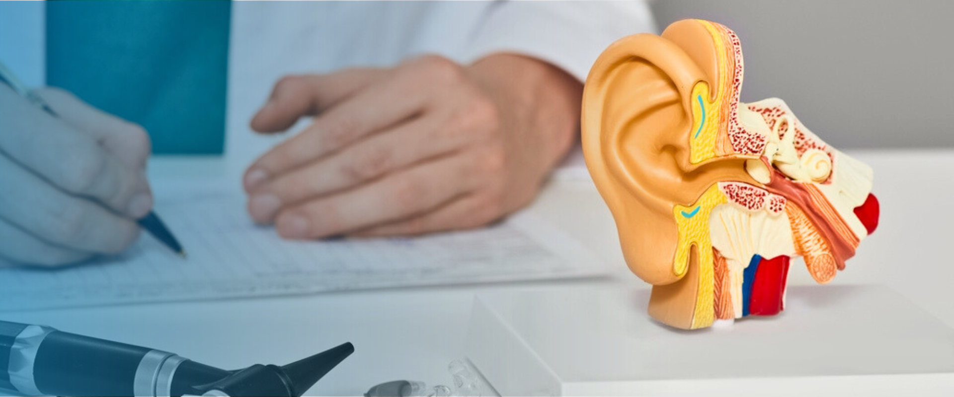 Ear - Triangle Hearing Services